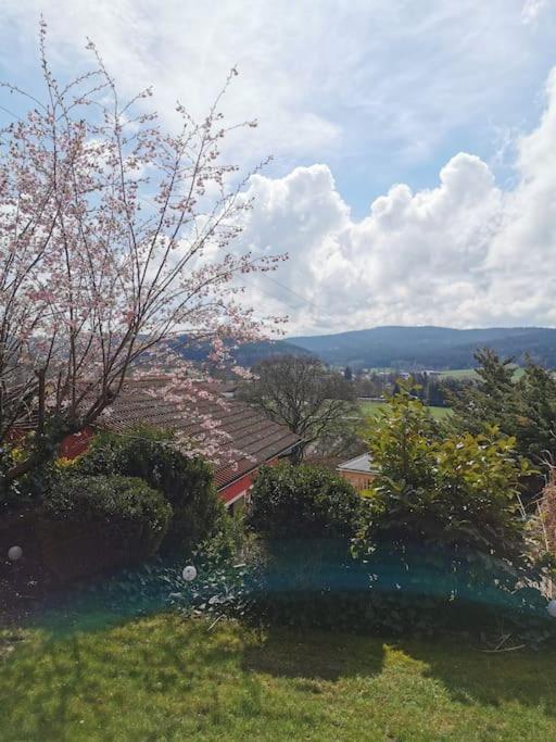 Chalet Bambi Blaibach Εξωτερικό φωτογραφία