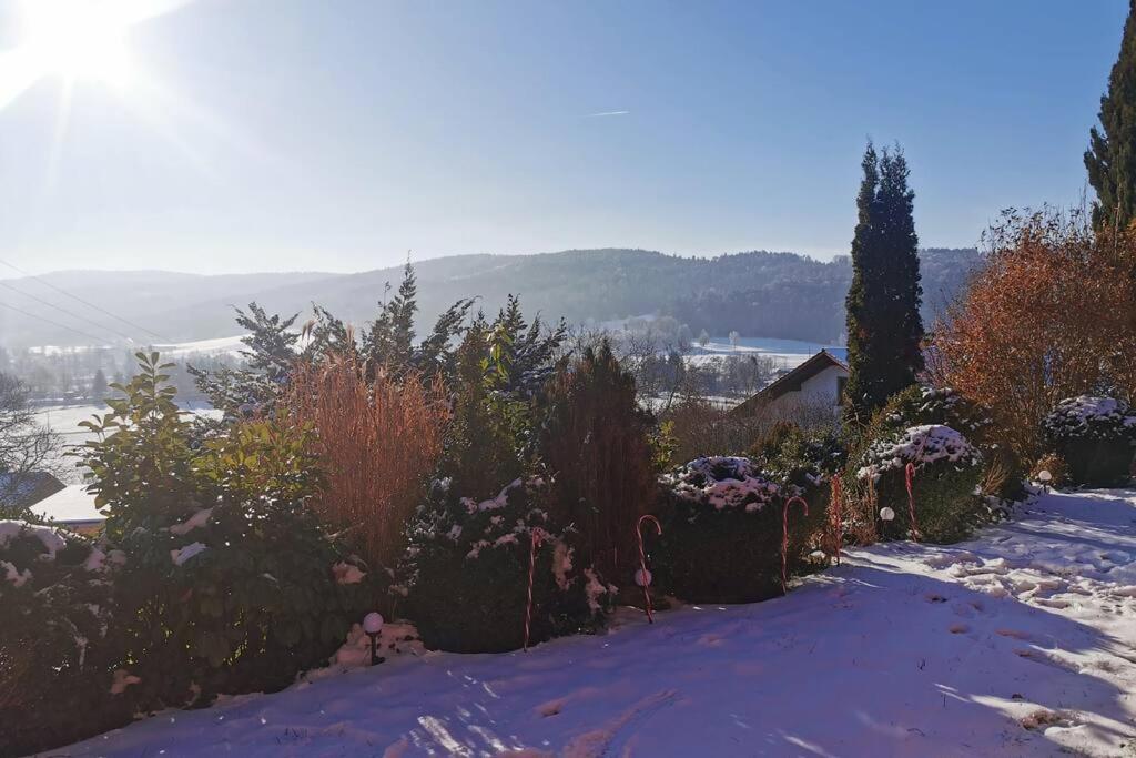 Chalet Bambi Blaibach Εξωτερικό φωτογραφία